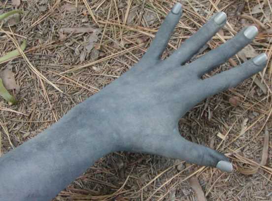 bglove4.jpg