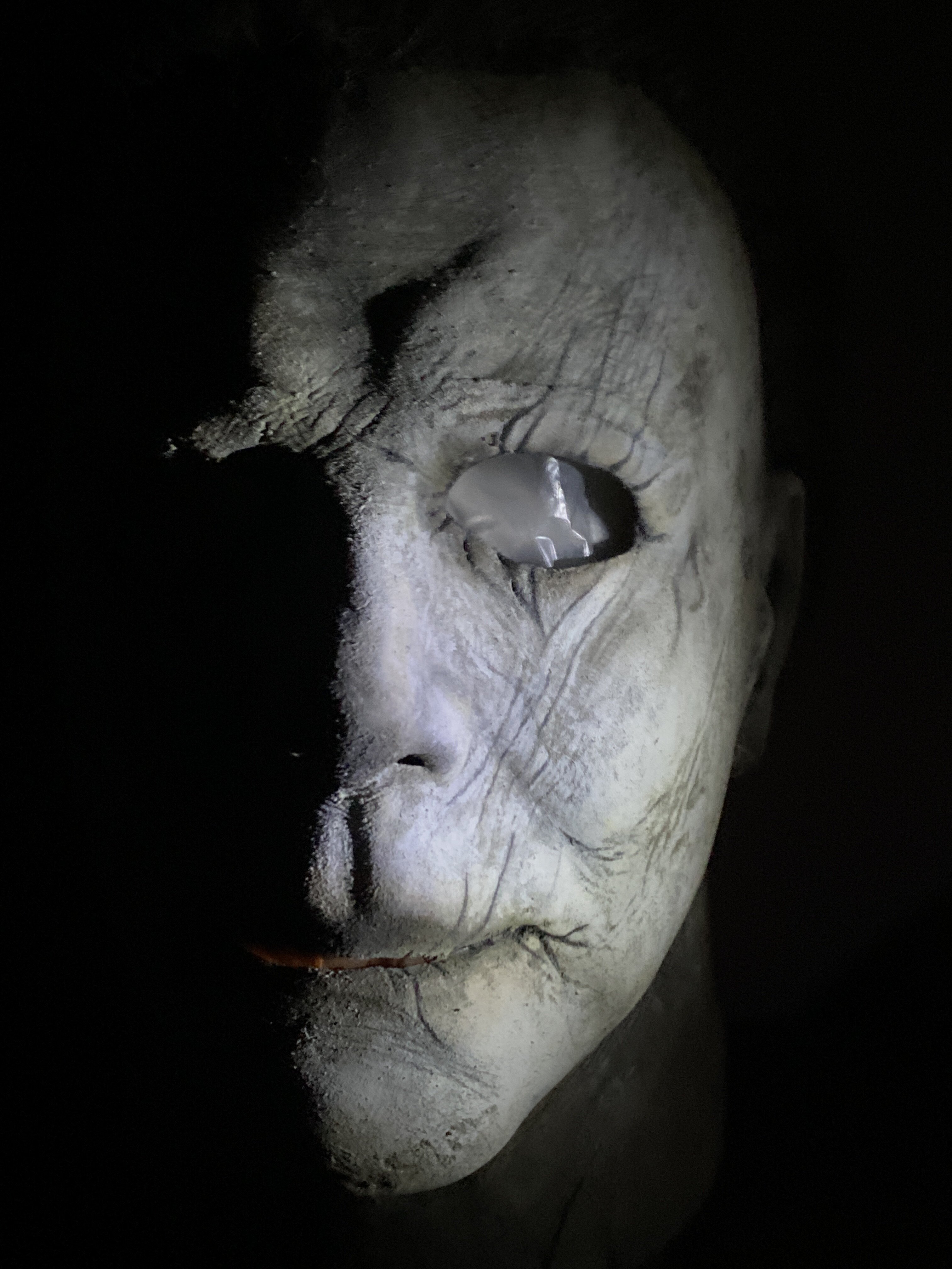 Michael Myers mask replica discussion | RPF Costume and Prop Maker Community