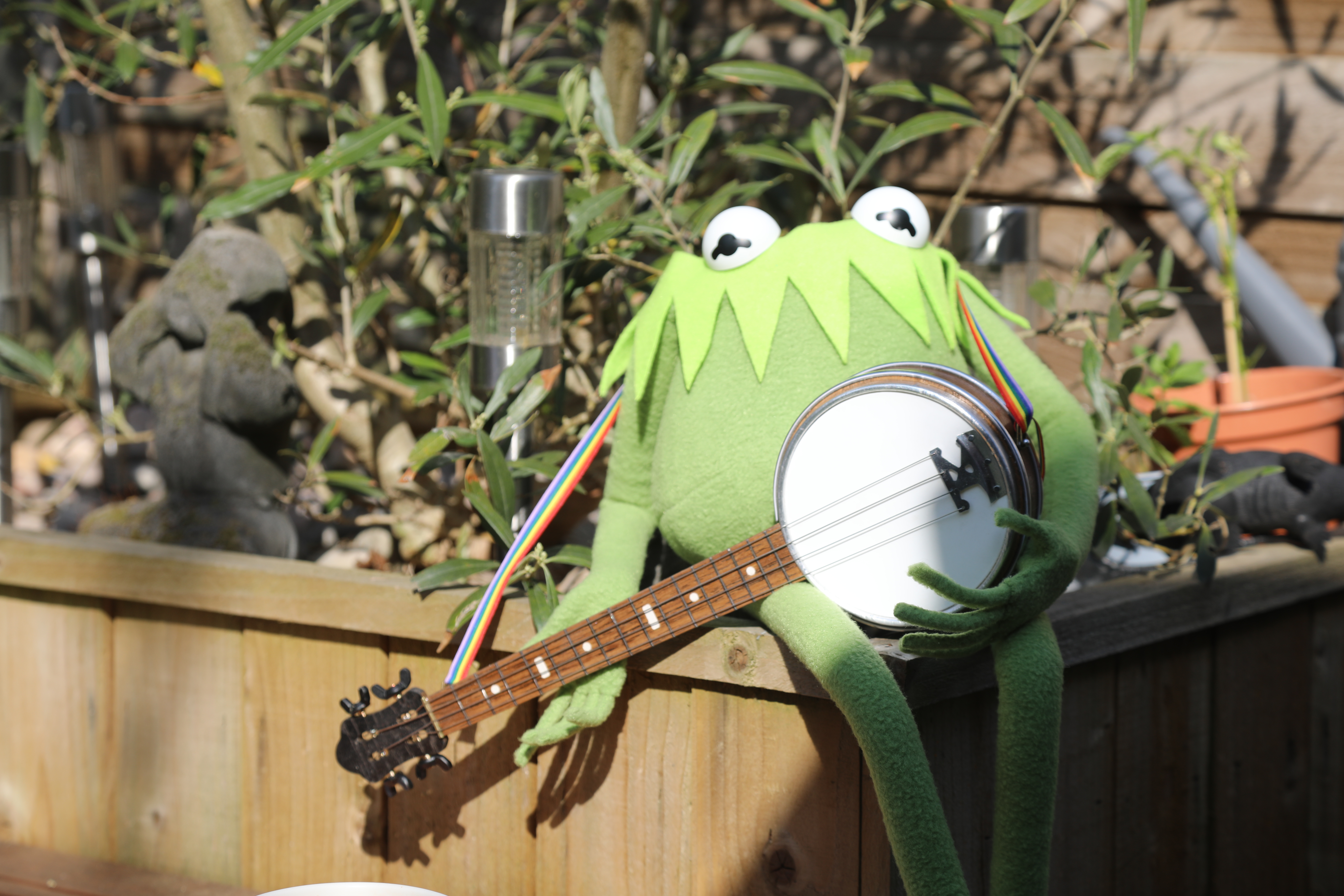 Muppet Movie Kermit's banjo | Page 2 | RPF Costume and Prop Maker Community