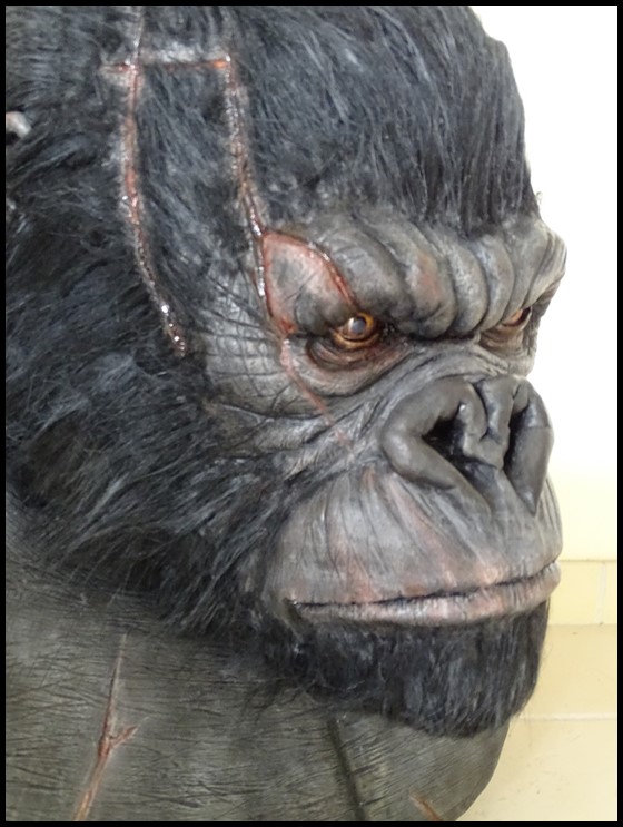 kong bust | RPF Costume and Prop Maker Community