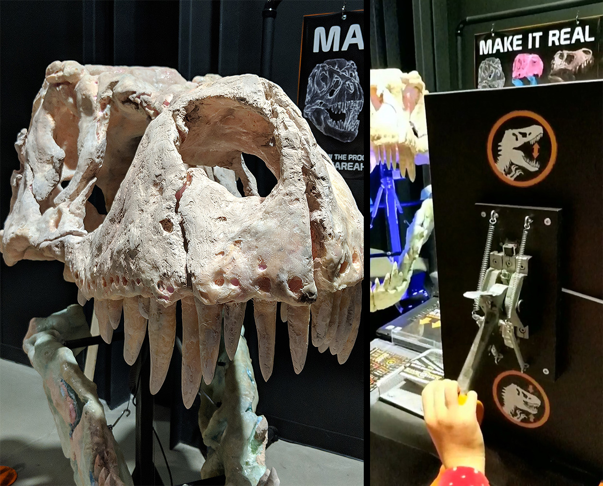 shareahack_trex-dinosaur-skull-makerfaire_002.jpg