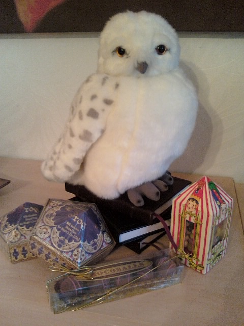 Hedwig with some Honeydukes candy
