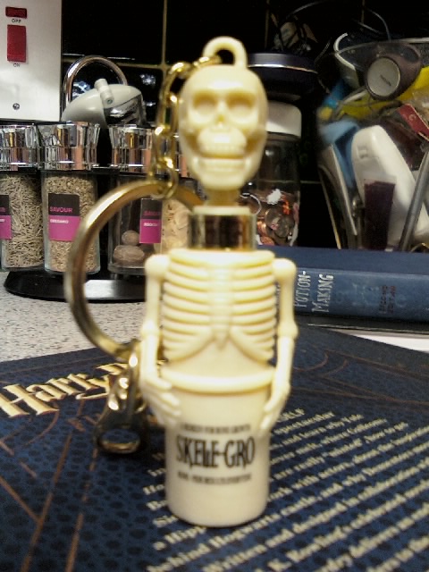 Skele-gro keychain front