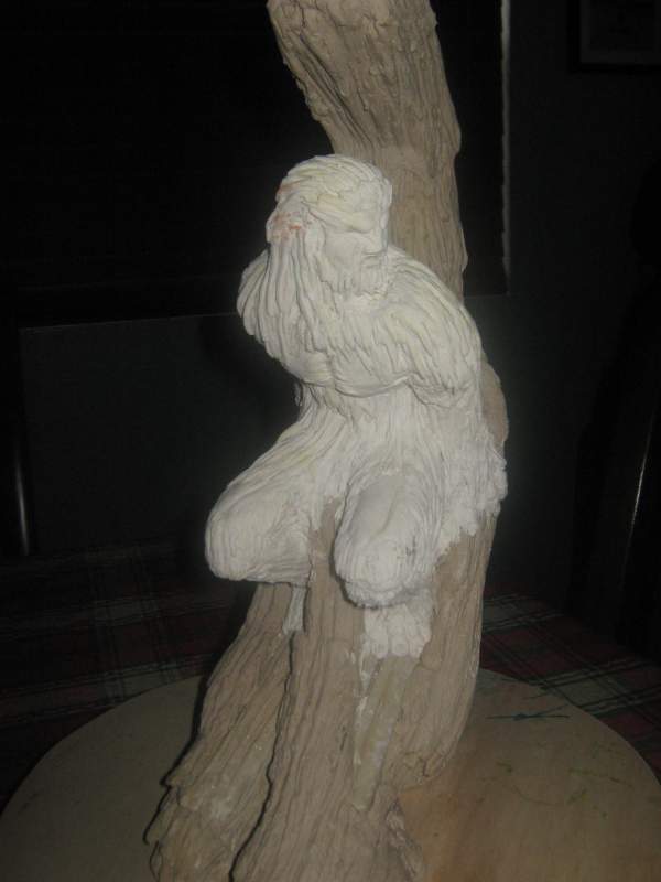 skunk ape tree 007