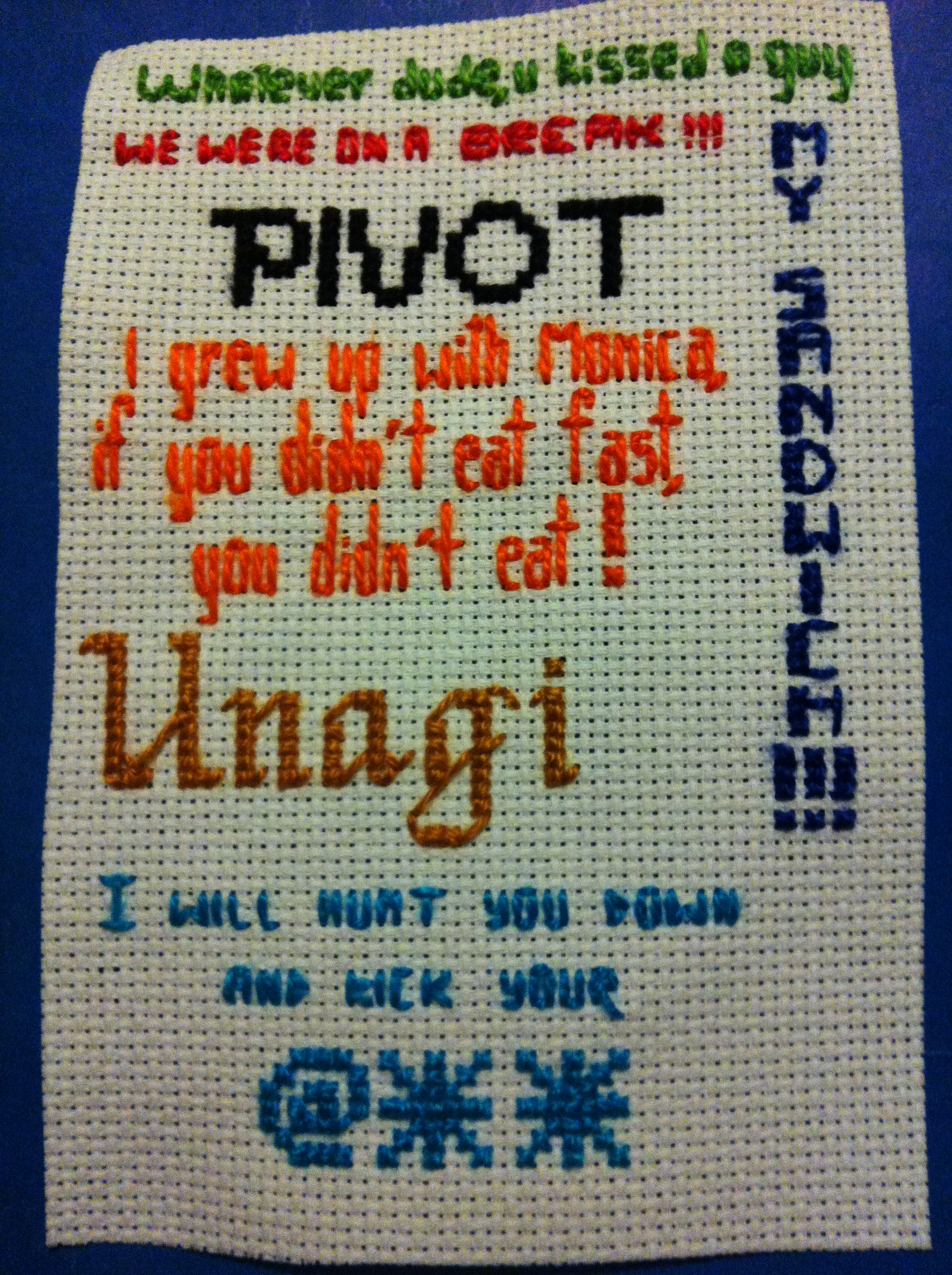 This was stitched for my brother. We are both into Friends...and these quotes are all from Ross throughout the series. And yes I guess you could say I