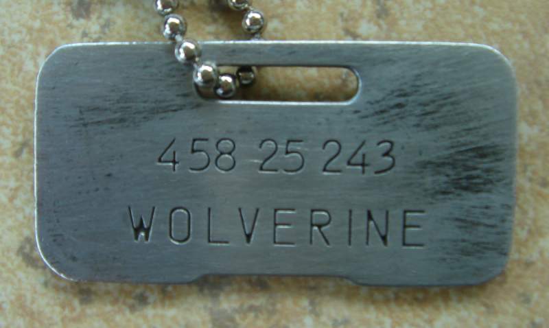 weathered wolverine